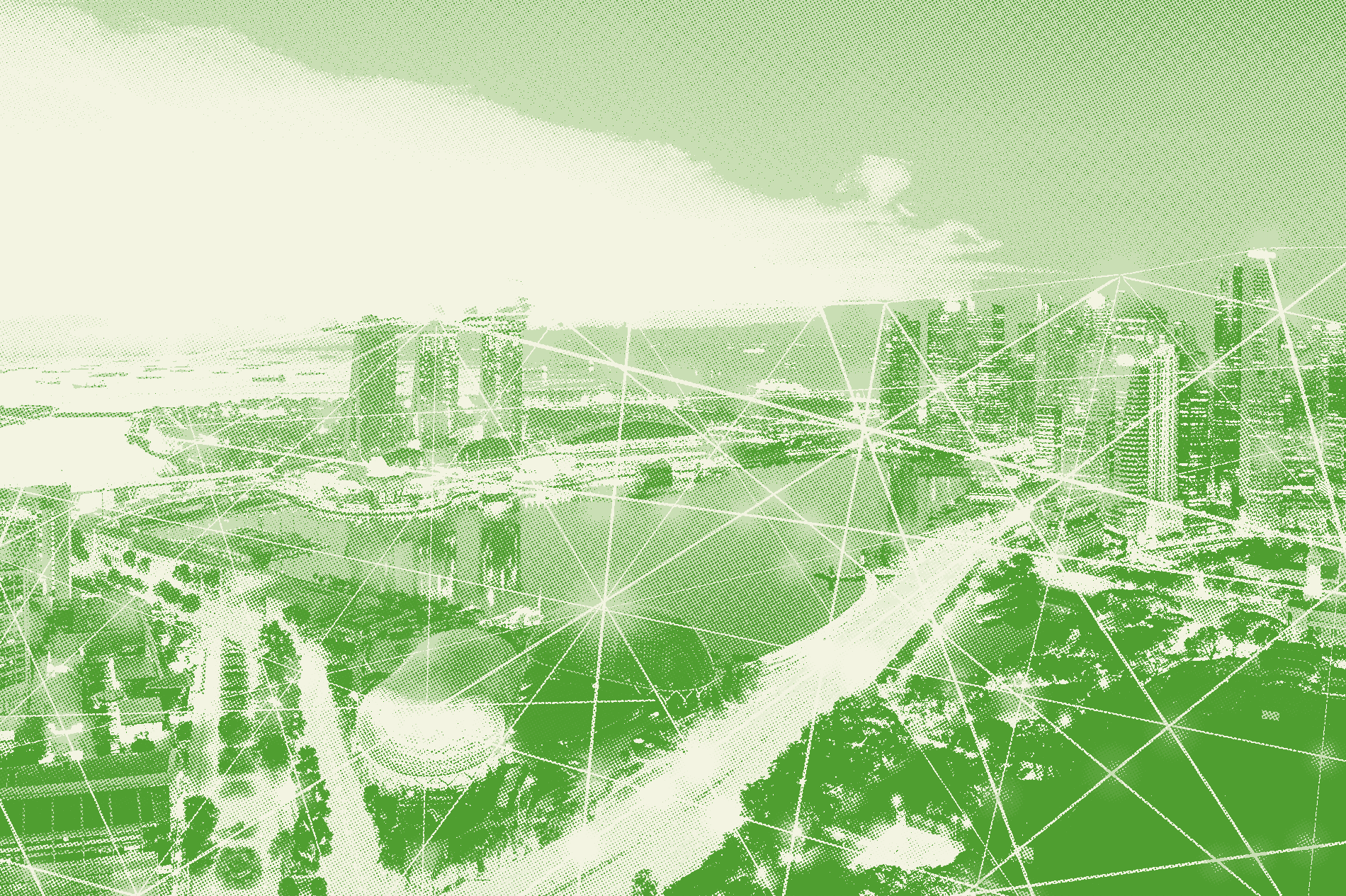 Our projects